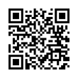 QR Code (код быстрого отклика)