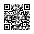 QR Code (код быстрого отклика)