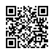 QR Code (код быстрого отклика)