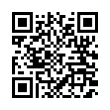 QR Code (код быстрого отклика)