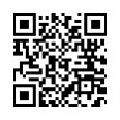 QR Code (код быстрого отклика)